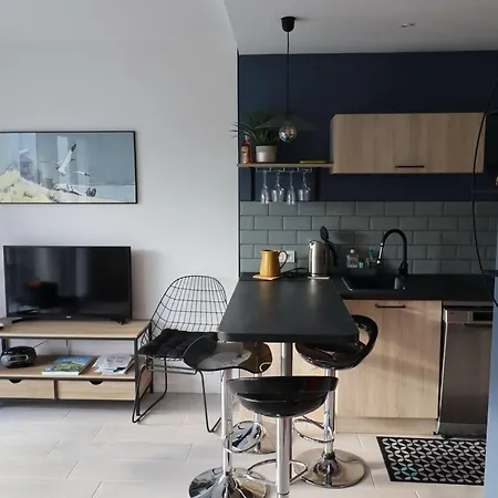 T2 A 300m Du Marche - Balcon, Cuisine Equipee, Confort, Ideal Vacances. - Fr-1-494-183 Ρουαγιάν