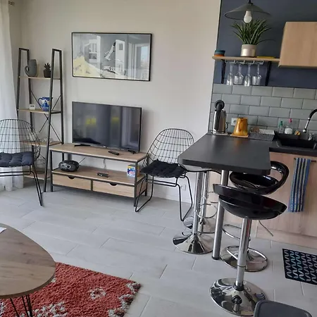 T2 A 300m Du Marche - Balcon, Cuisine Equipee, Confort, Ideal Vacances. - Fr-1-494-183 Διαμέρισμα Ρουαγιάν